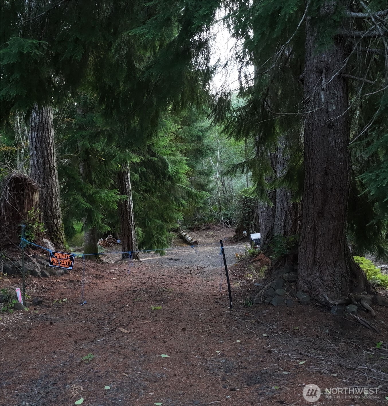 121 W Cloquallum Court Property Photo 2