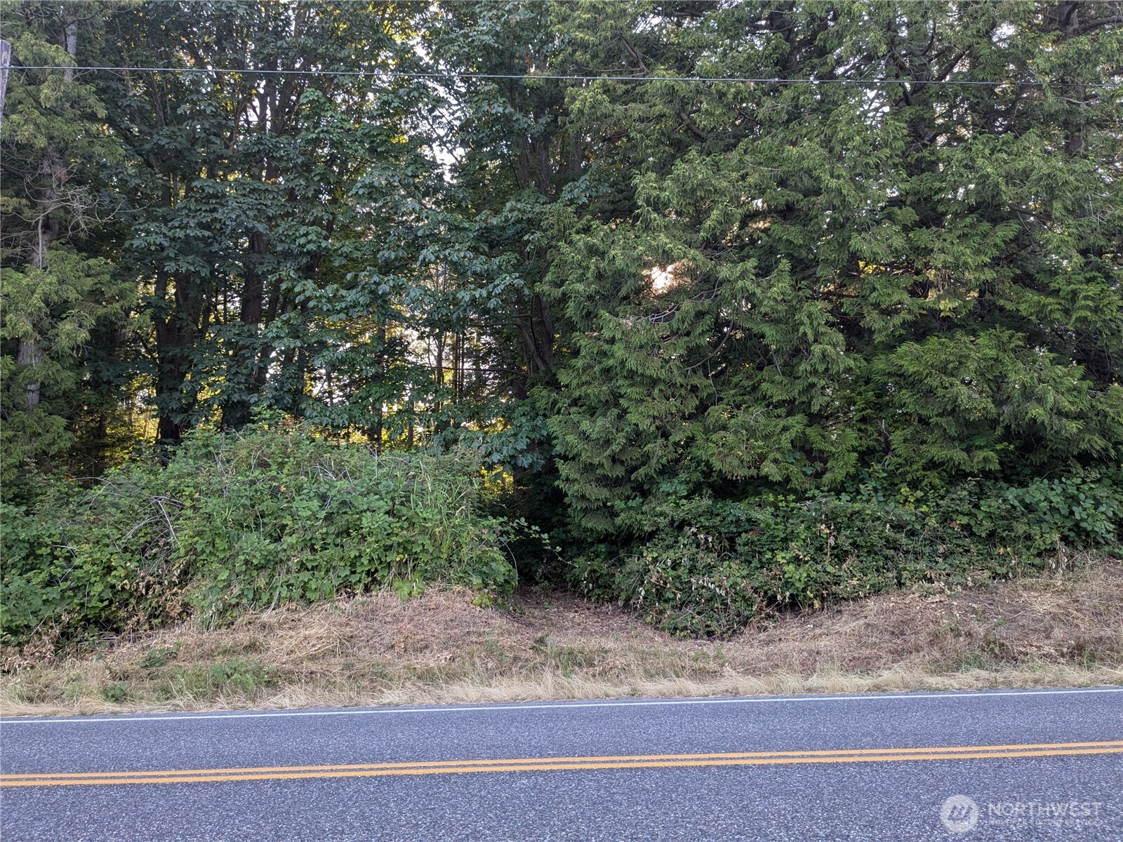 0 Xx Olson Property Photo 1