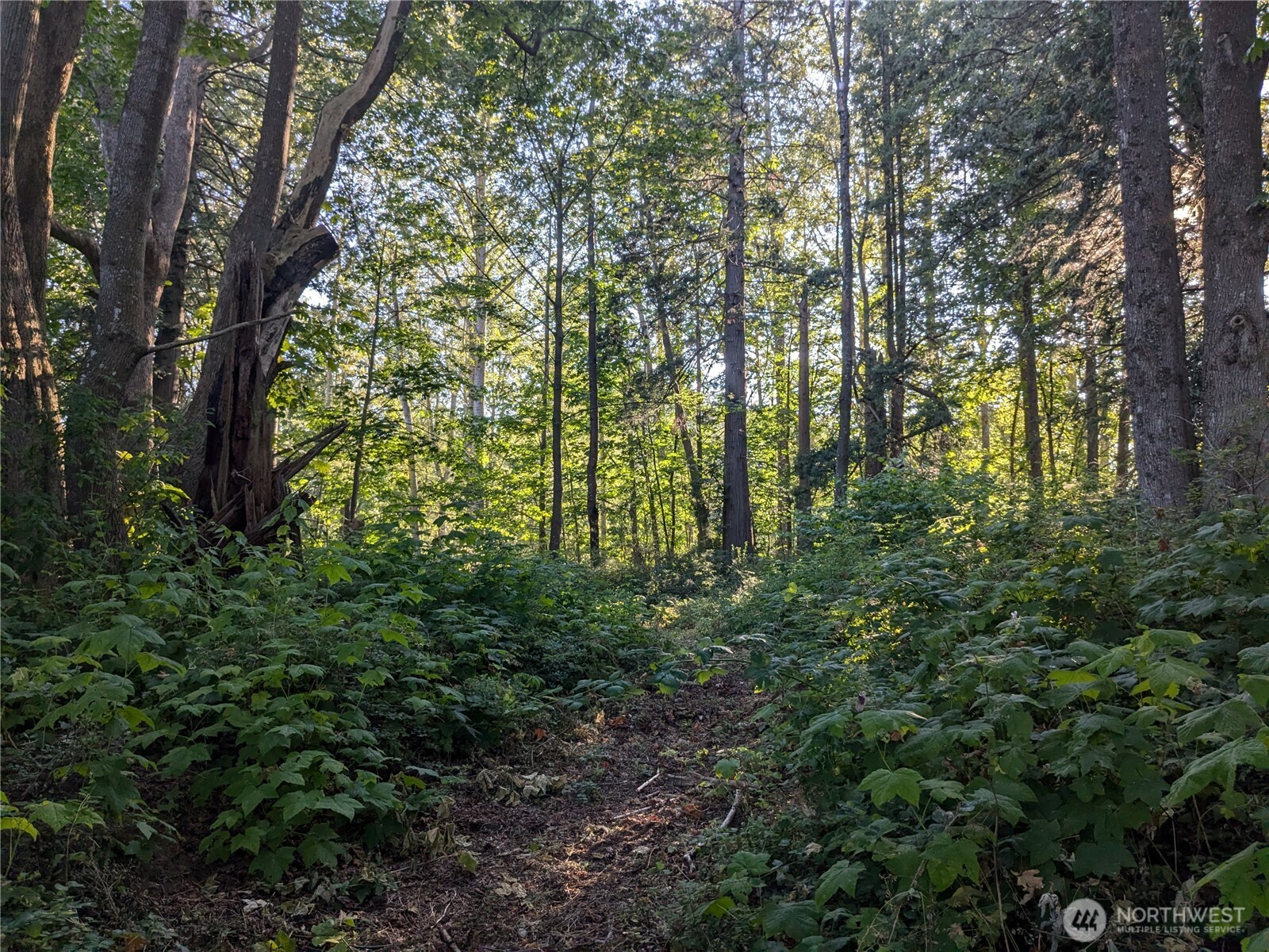 0 Xx Olson Property Photo 2