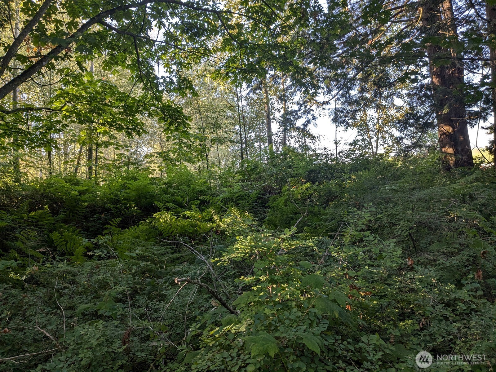 0 Xx Olson Property Photo 3