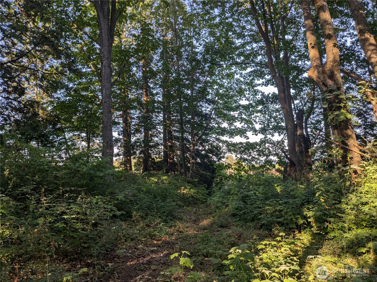 0 Xx Olson Property Photo 4