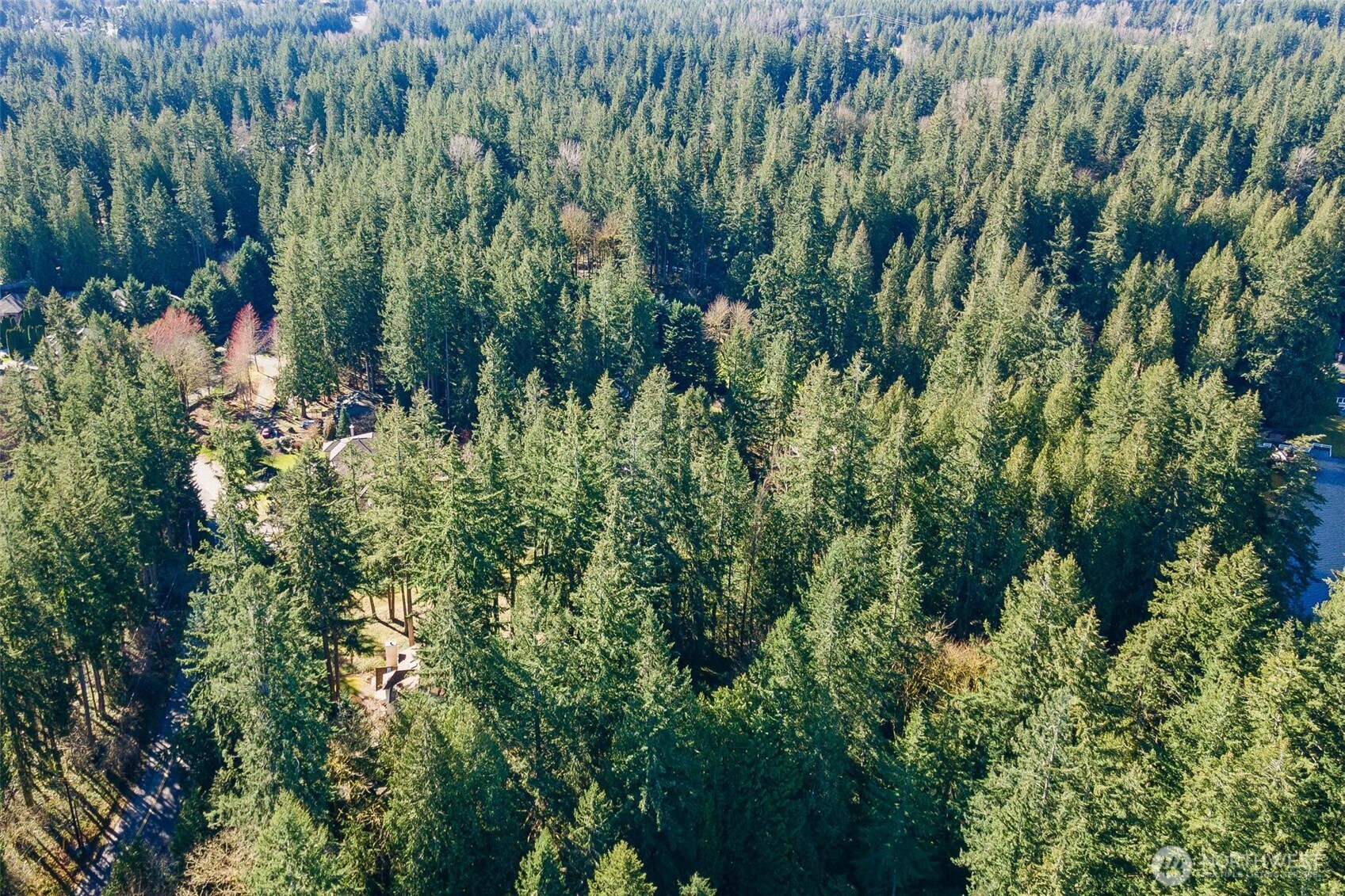 2529 E Beaver Lake Drive Property Photo 17