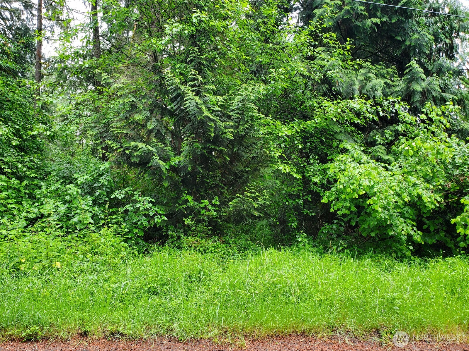 10607 Edgewood Drive Lot4&5 Property Photo