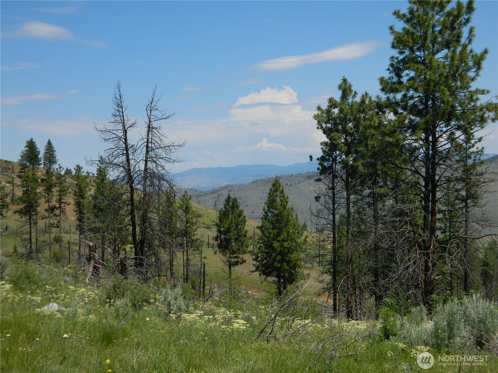 428 Five Mile Road Property Photo 2