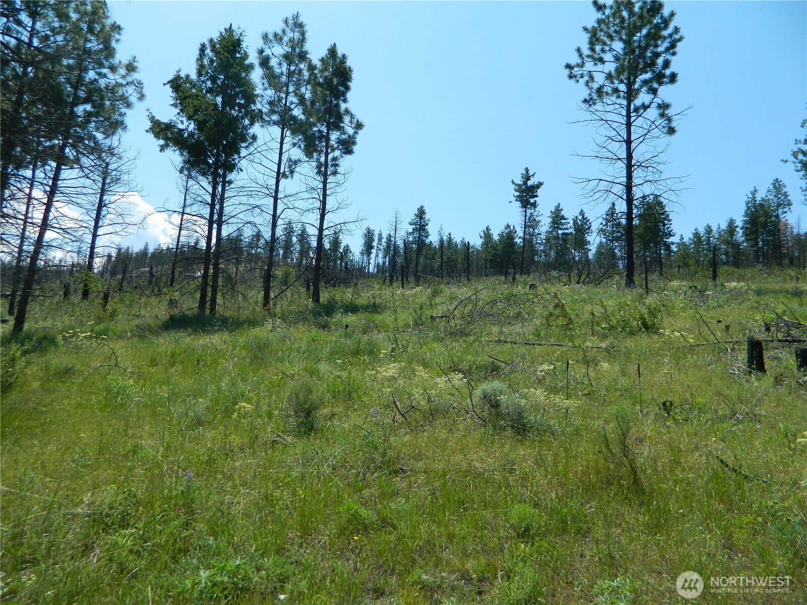 428 Five Mile Road Property Photo 3