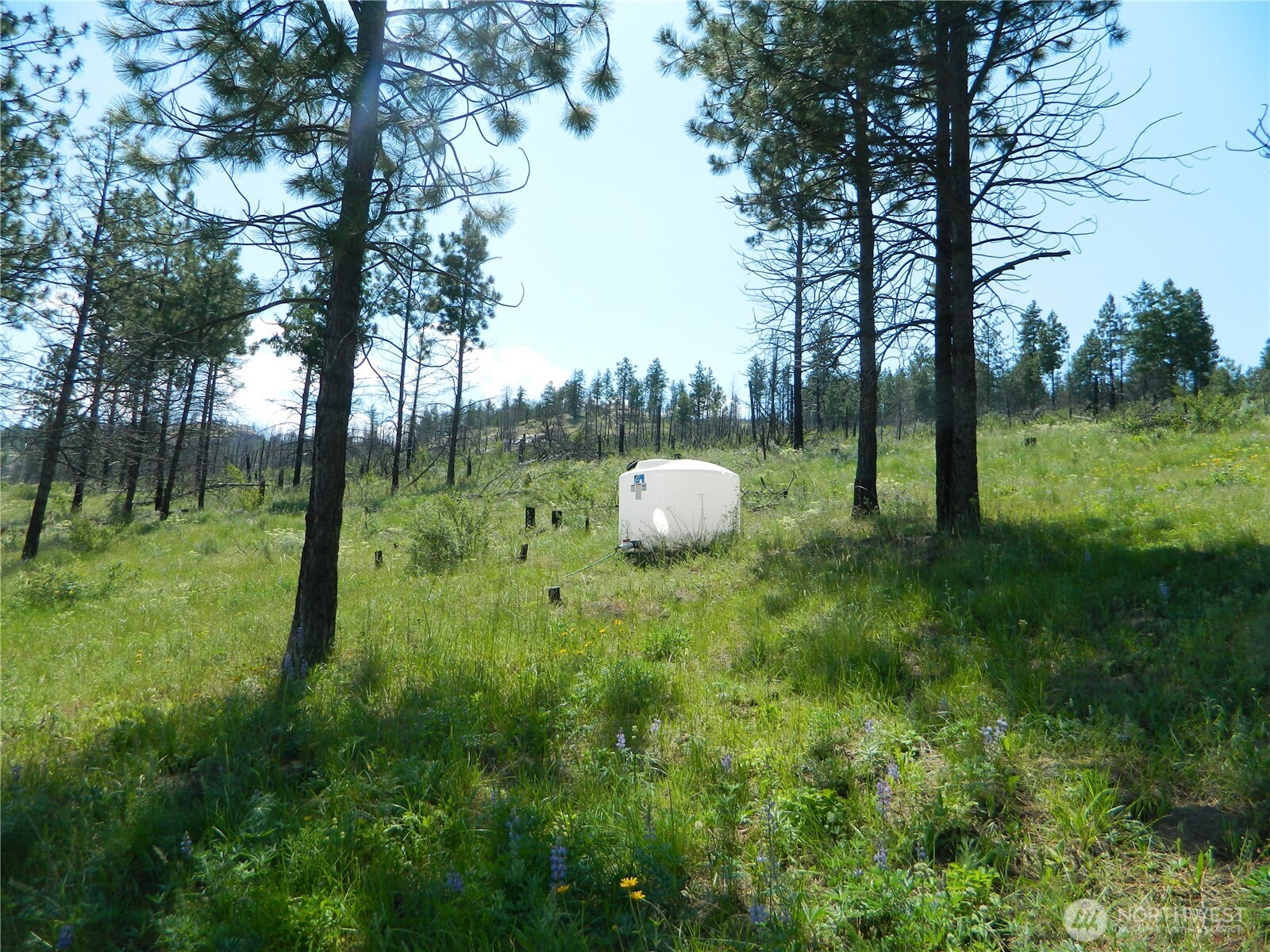 428 Five Mile Road Property Photo 3