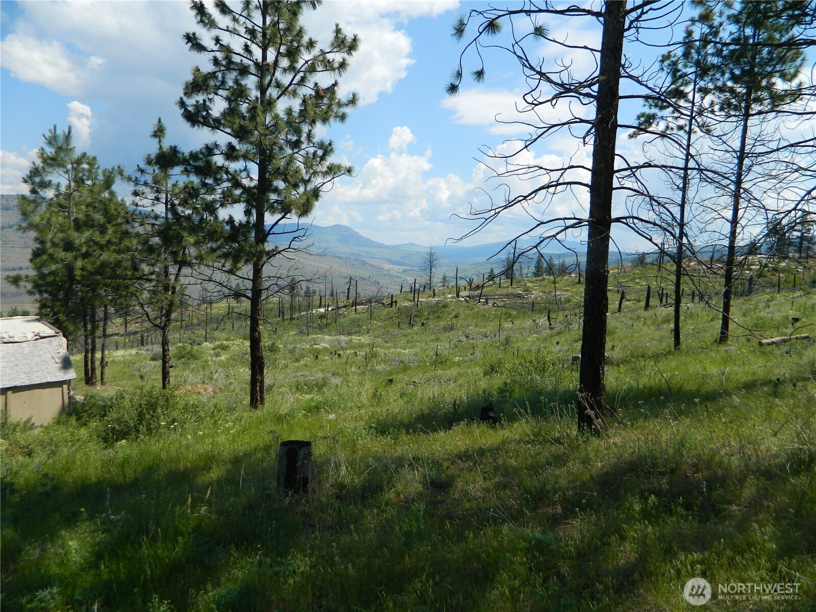428 Five Mile Road Property Photo 4