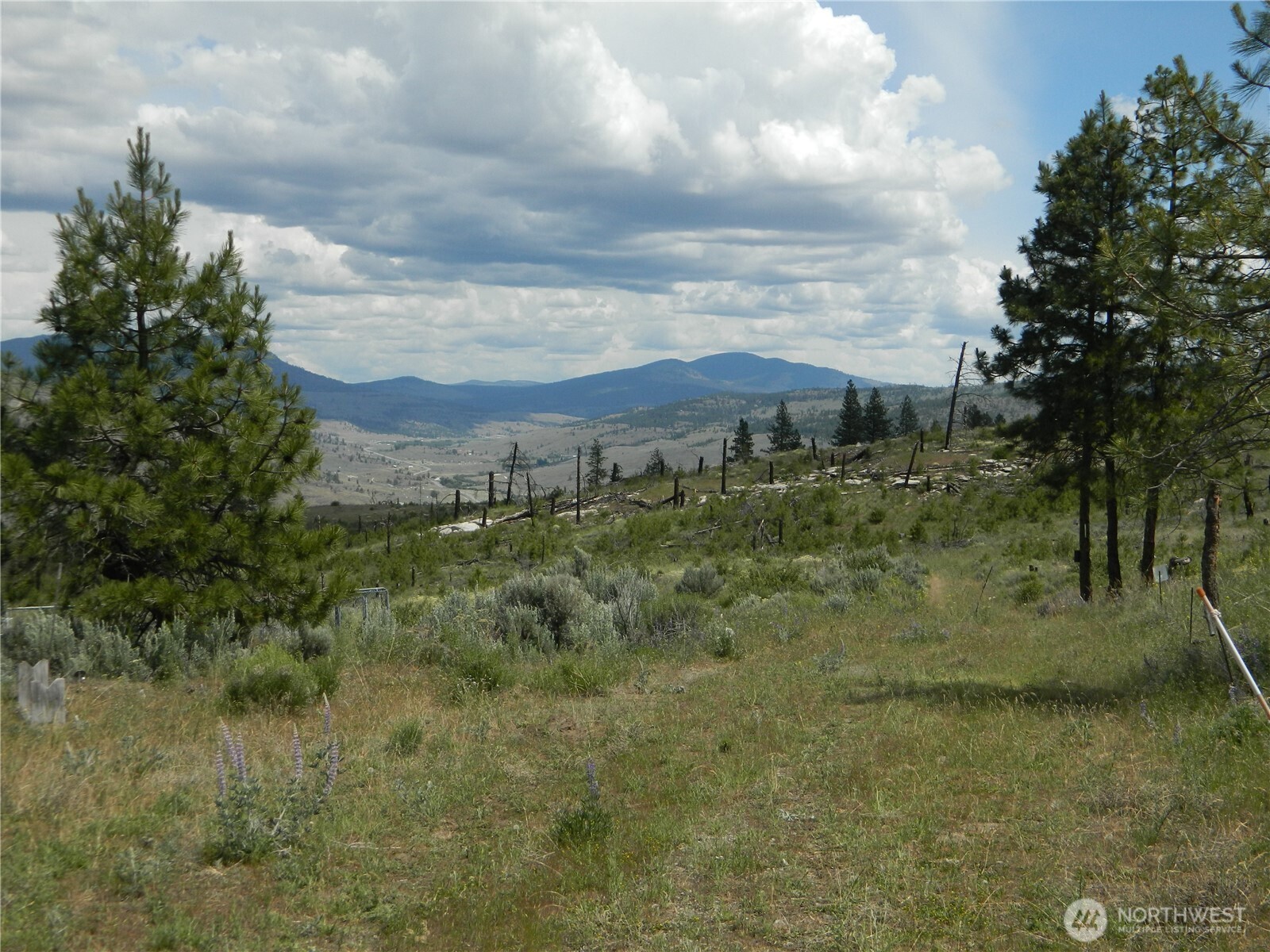 428 Five Mile Road Property Photo 4