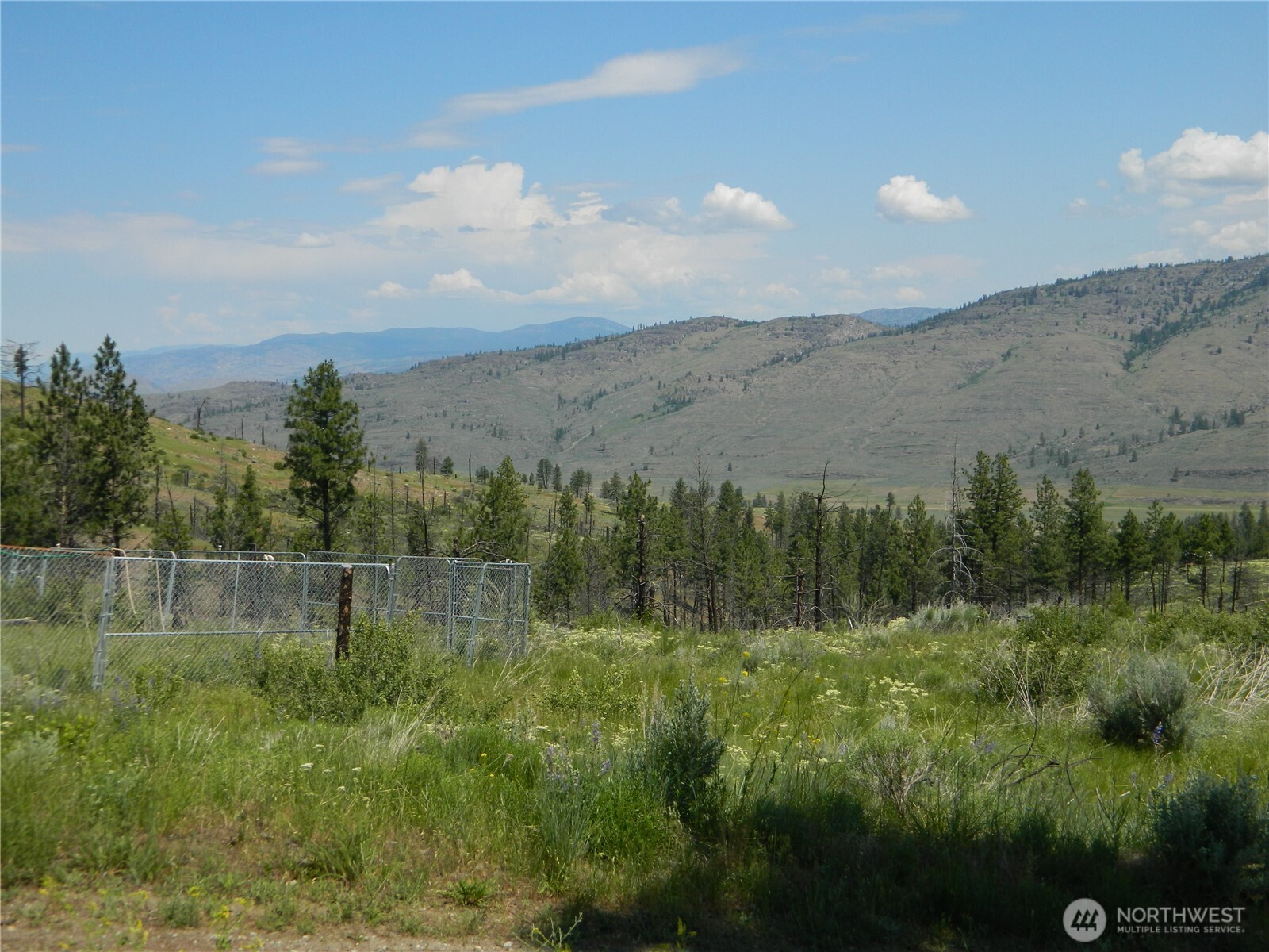 428 Five Mile Road Property Photo 7