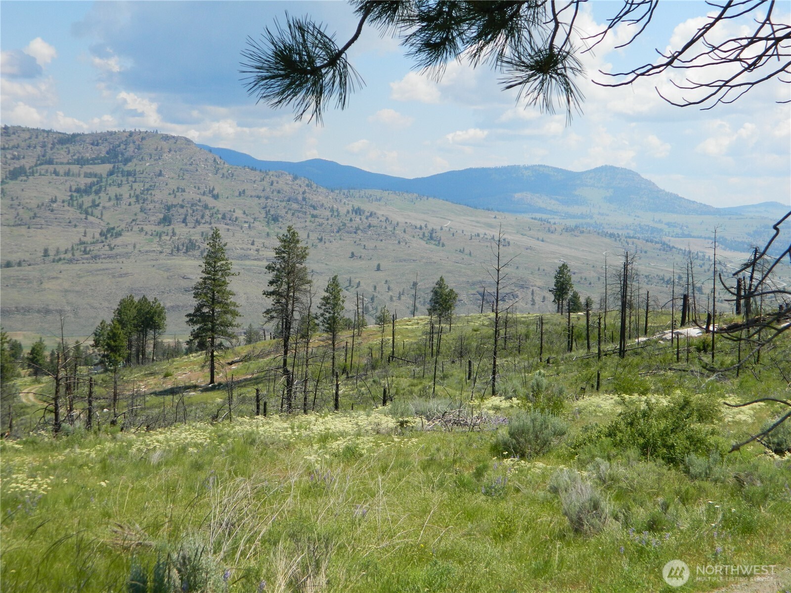 428 Five Mile Road Property Photo 8