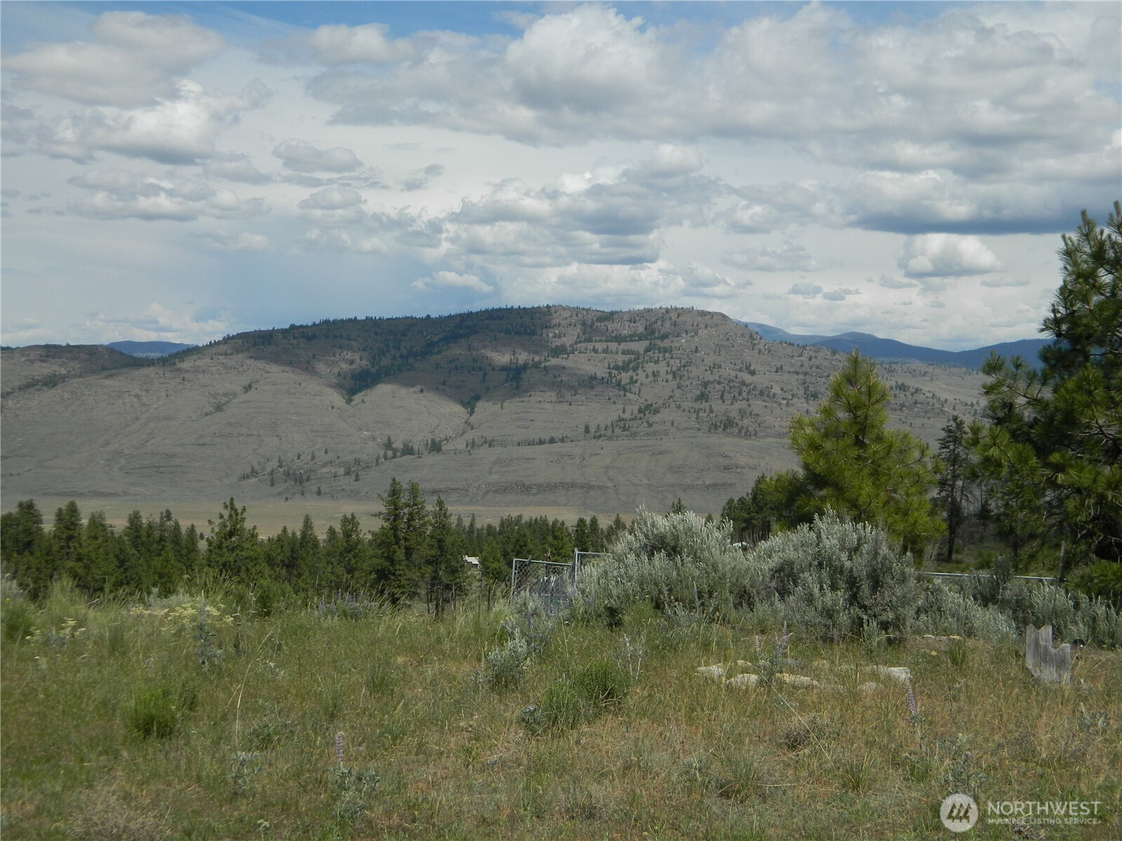 428 Five Mile Road Property Photo 14