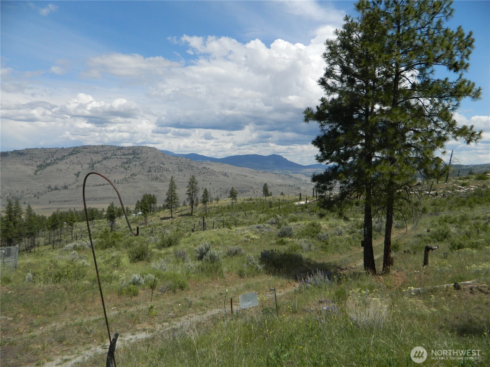 428 Five Mile Road Property Photo 17