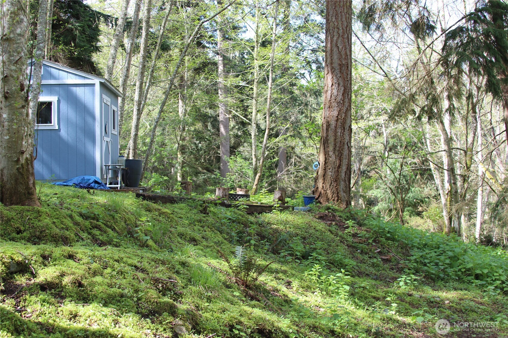 0 Nhn Mistywood Property Photo 4