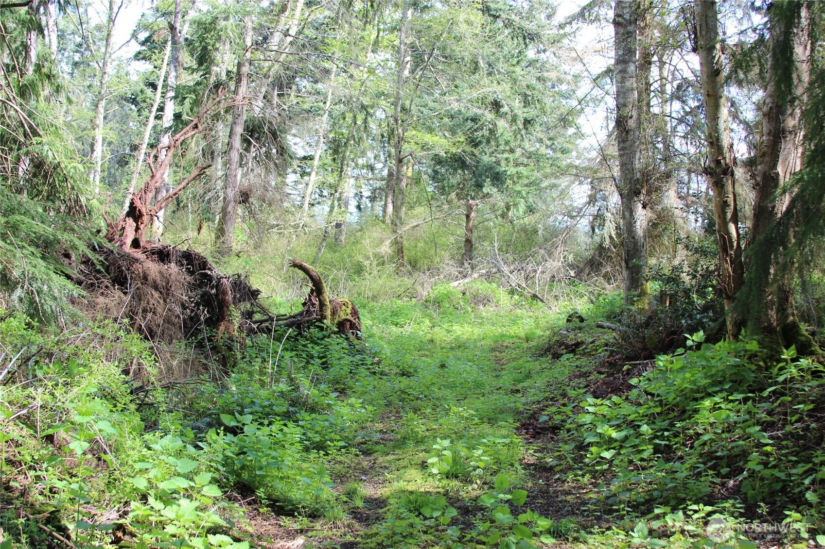 0 Nhn Mistywood Property Photo 6