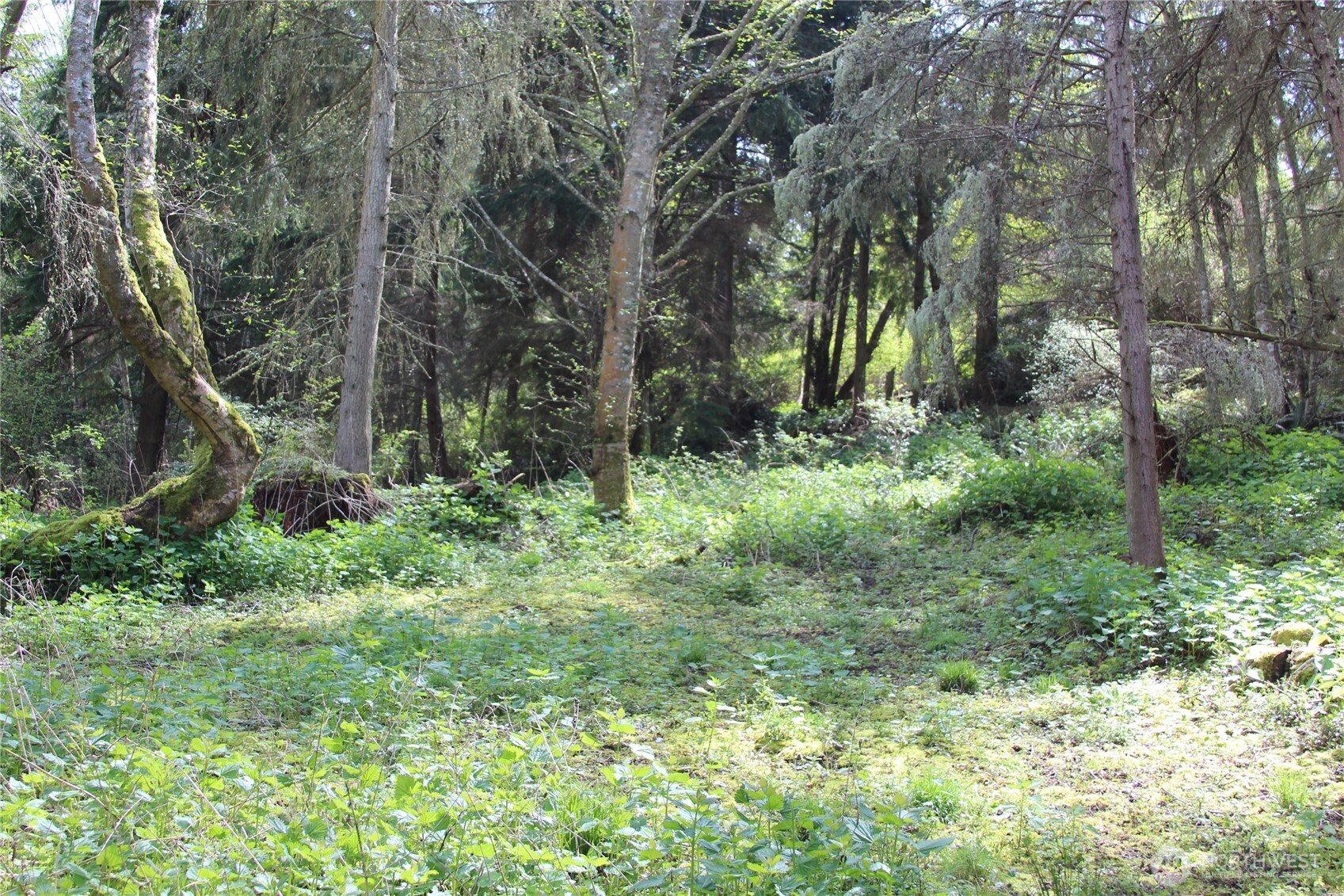 0 Nhn Mistywood Property Photo 7