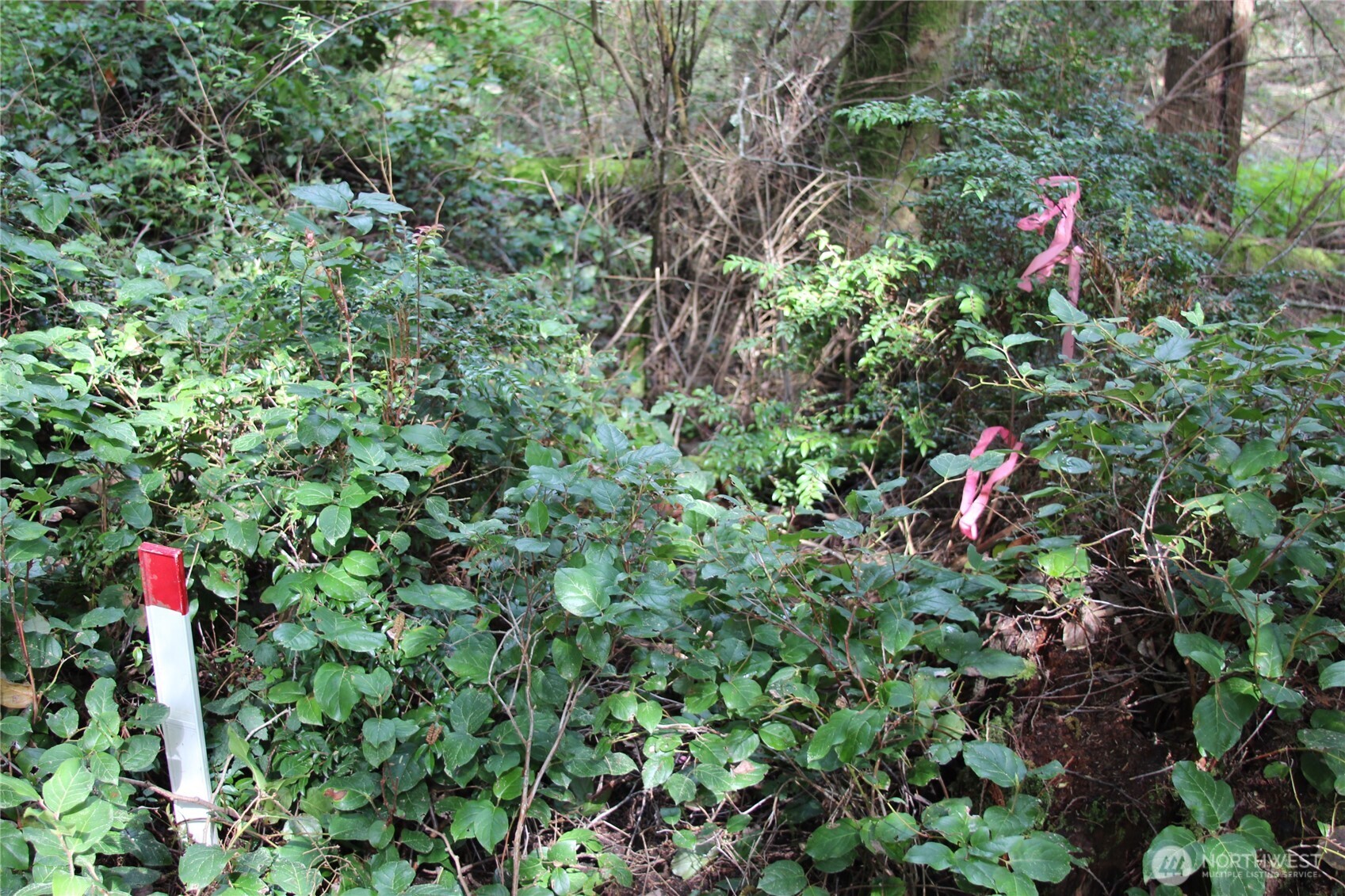 0 Nhn Mistywood Property Photo 14