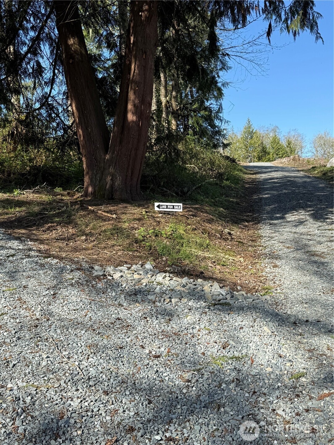 29512 152nd Avenue Property Photo 12