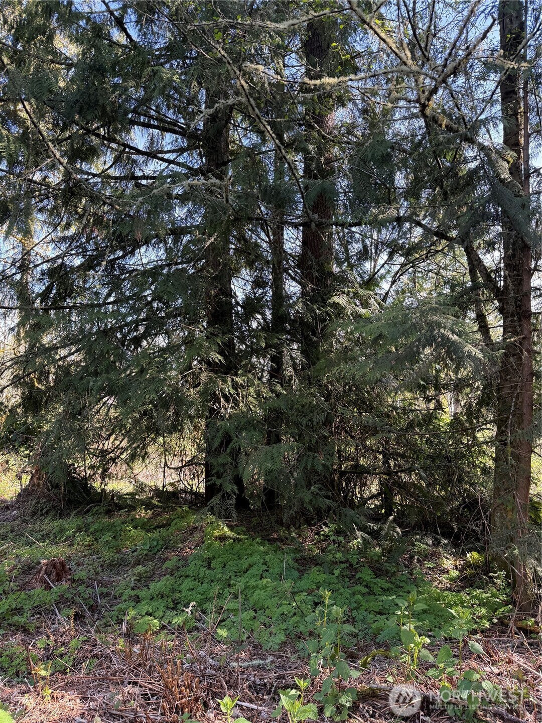 29512 152nd Avenue Property Photo 15