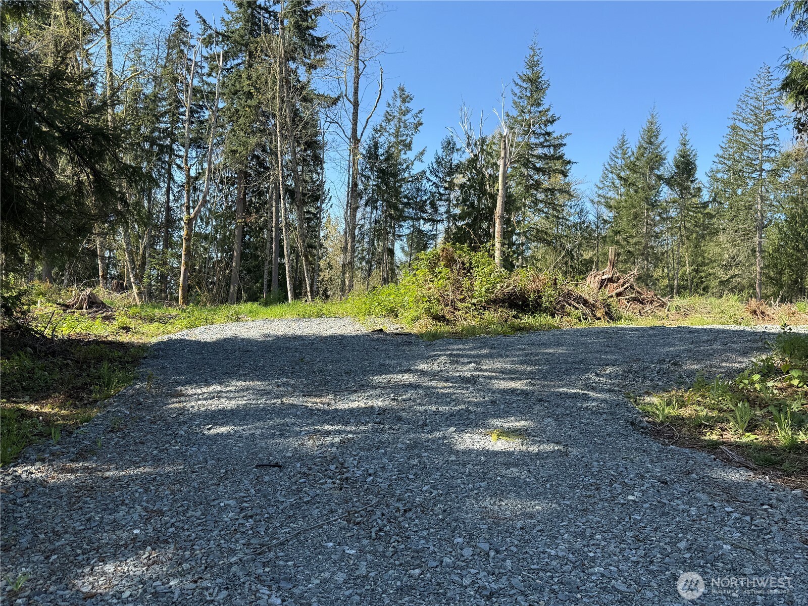 29512 152nd Avenue Property Photo 27