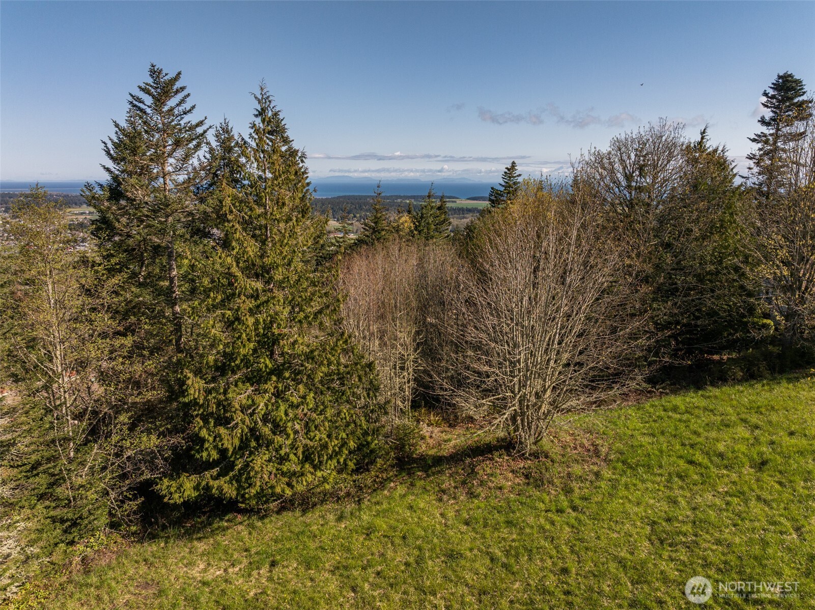 999 Ravens Ridge Road Property Photo 10