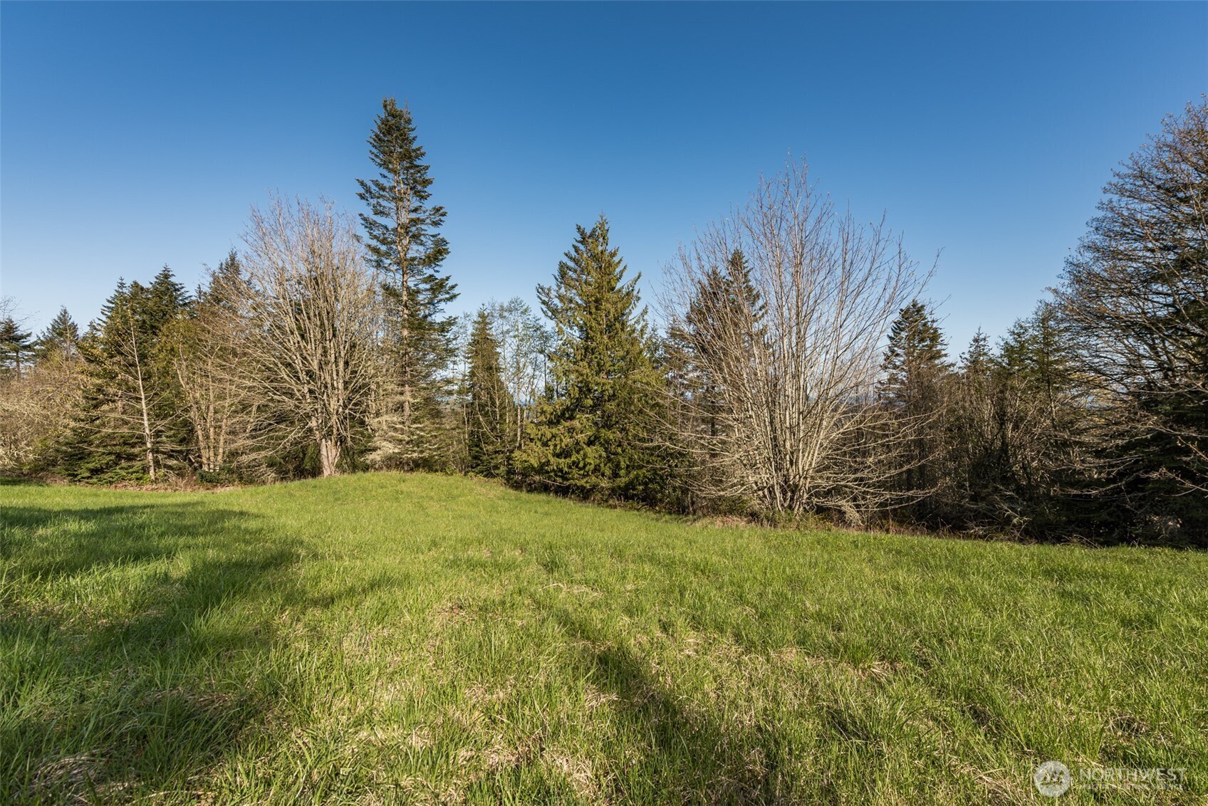 999 Ravens Ridge Road Property Photo 11