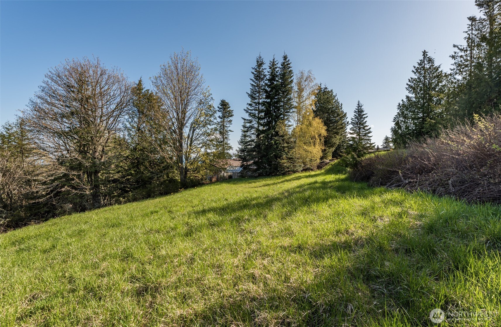 999 Ravens Ridge Road Property Photo 12