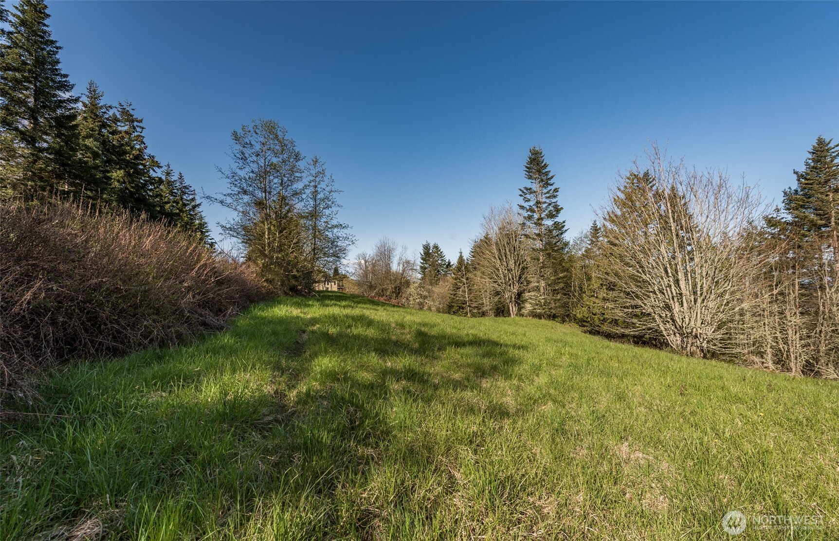 999 Ravens Ridge Road Property Photo 13