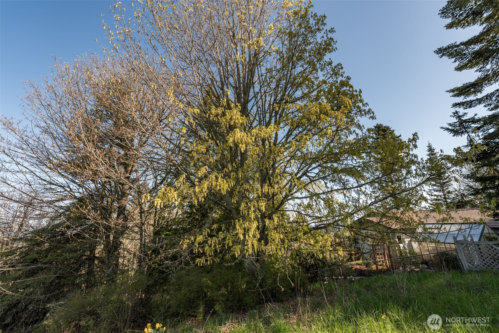 999 Ravens Ridge Road Property Photo 18