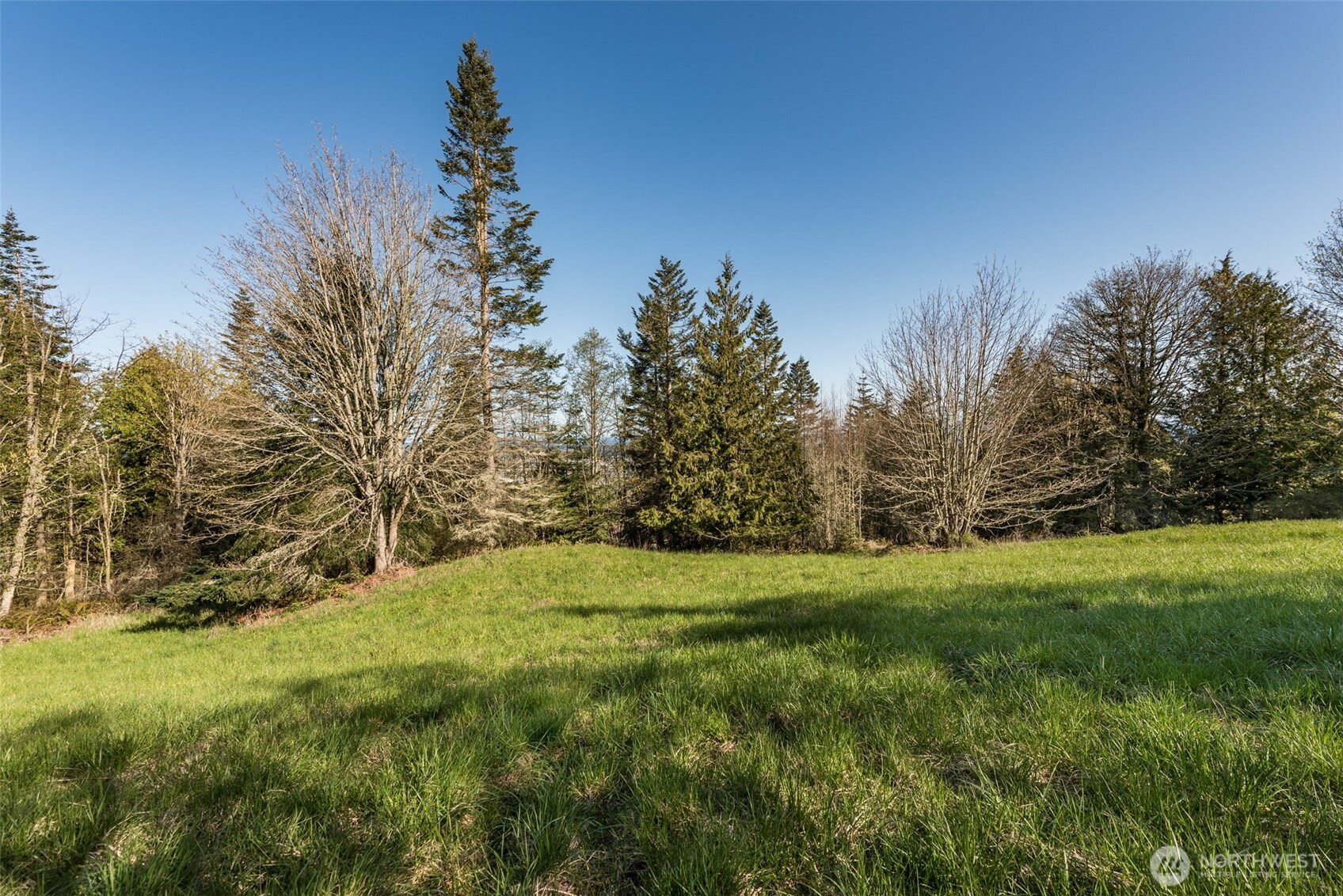 999 Ravens Ridge Road Property Photo 22