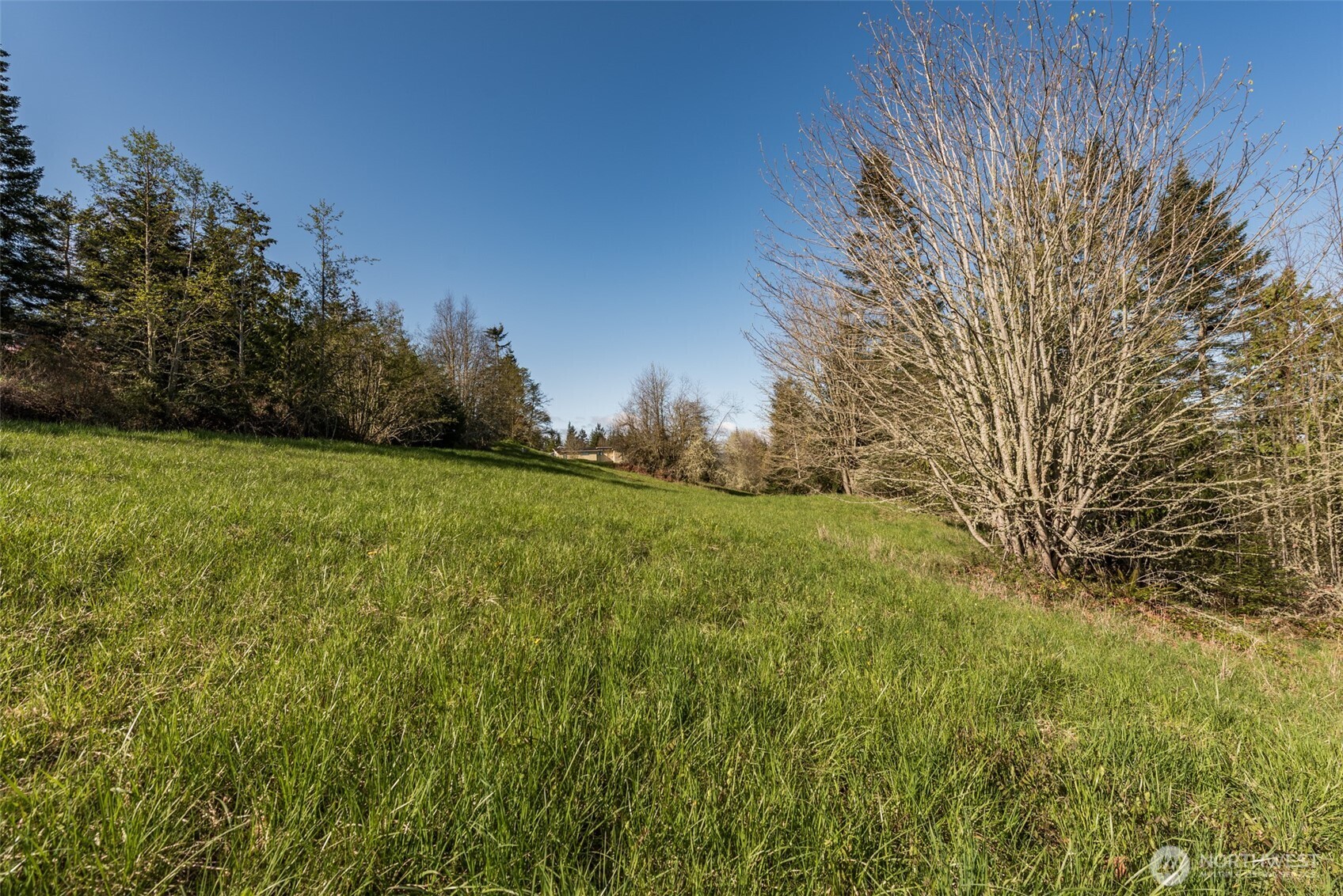 999 Ravens Ridge Road Property Photo 23