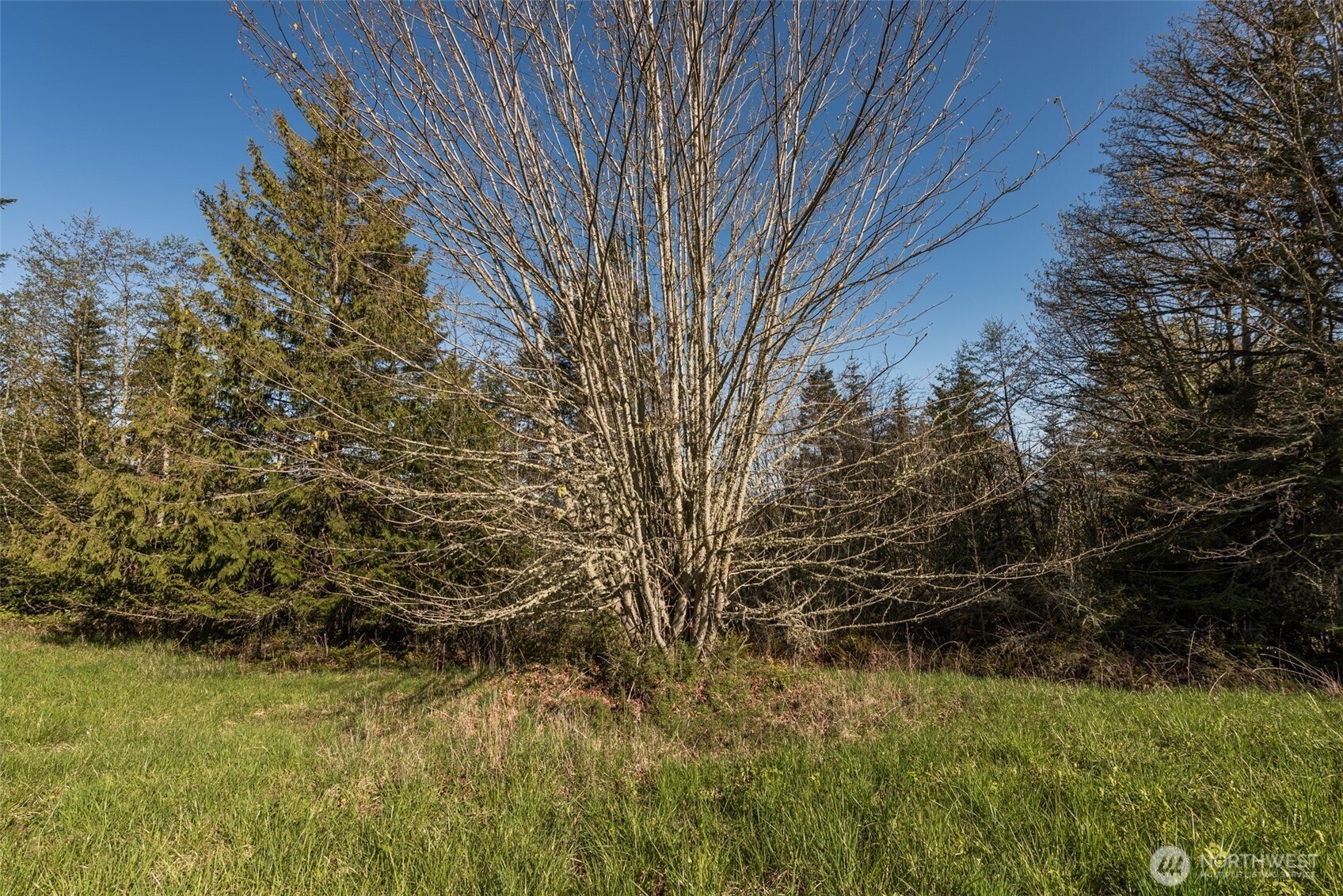 999 Ravens Ridge Road Property Photo 24