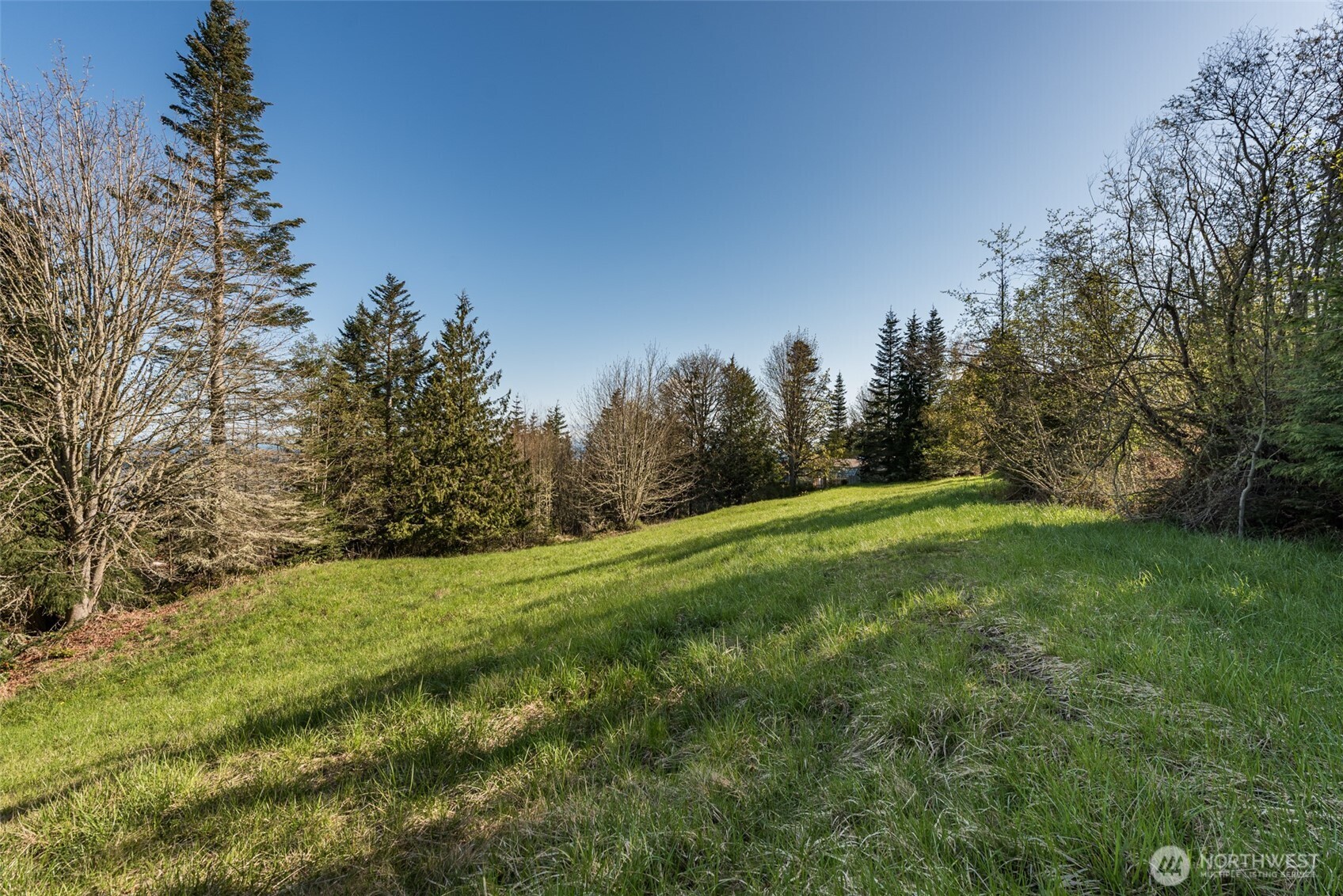 999 Ravens Ridge Road Property Photo 25