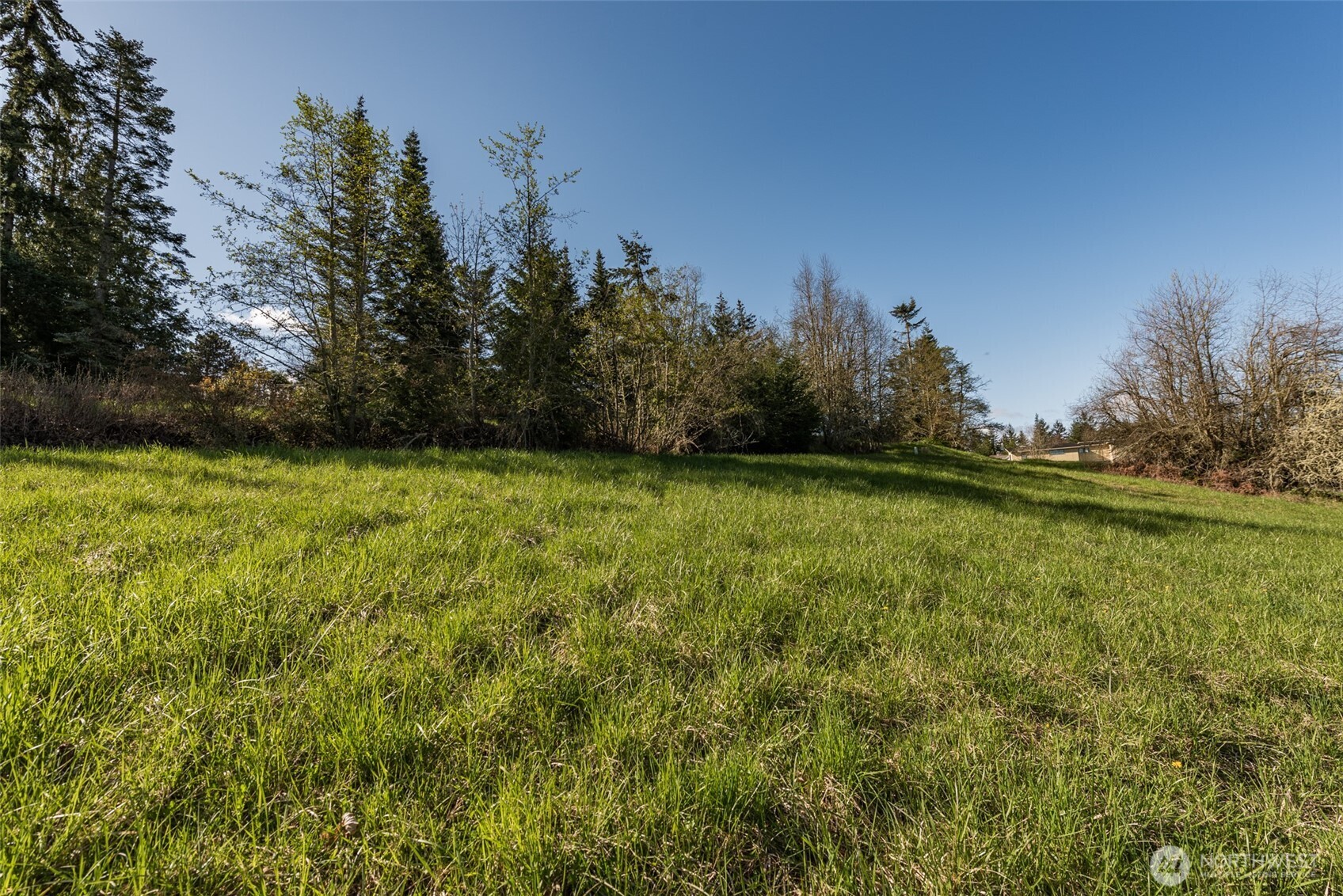 999 Ravens Ridge Road Property Photo 26