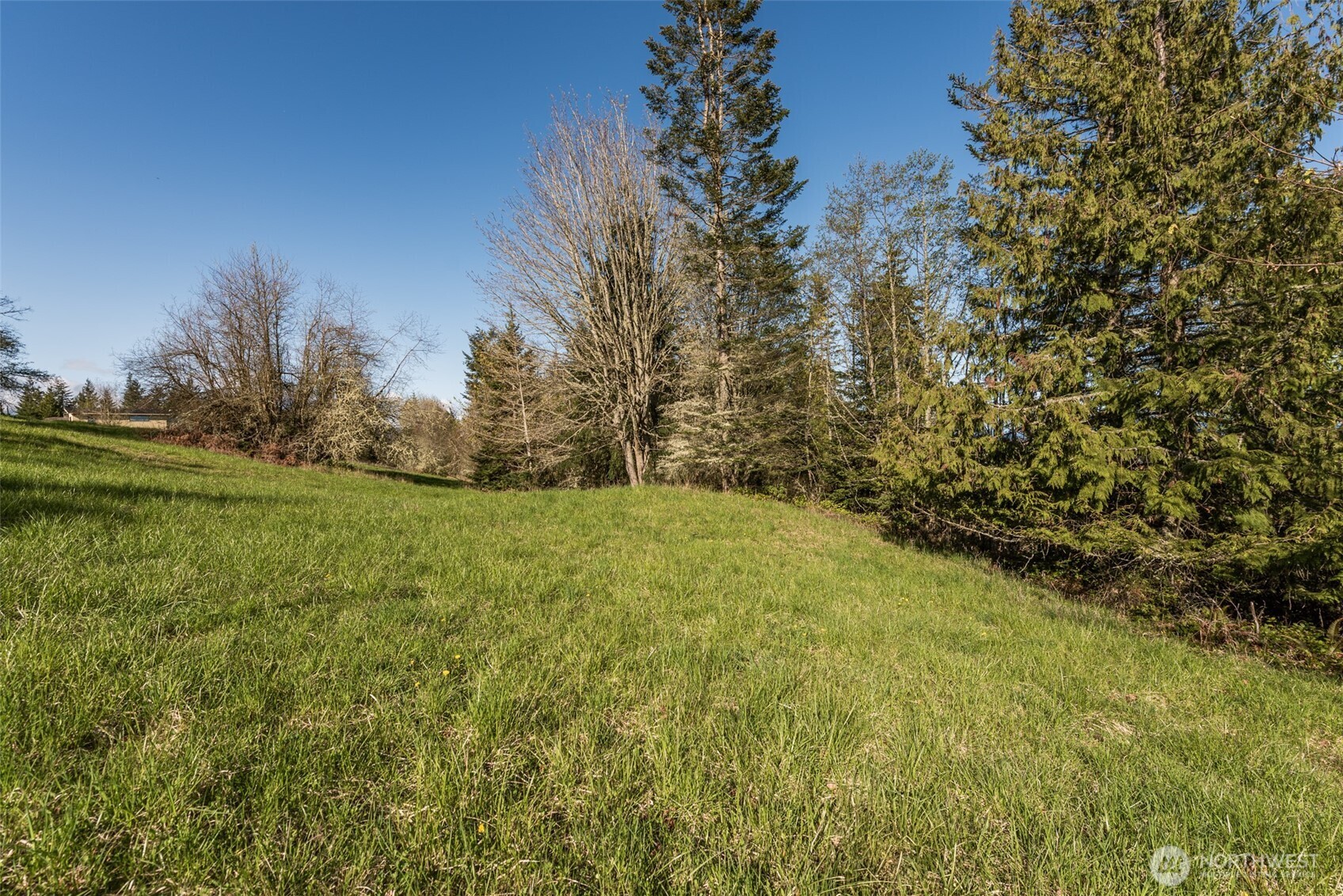 999 Ravens Ridge Road Property Photo 27