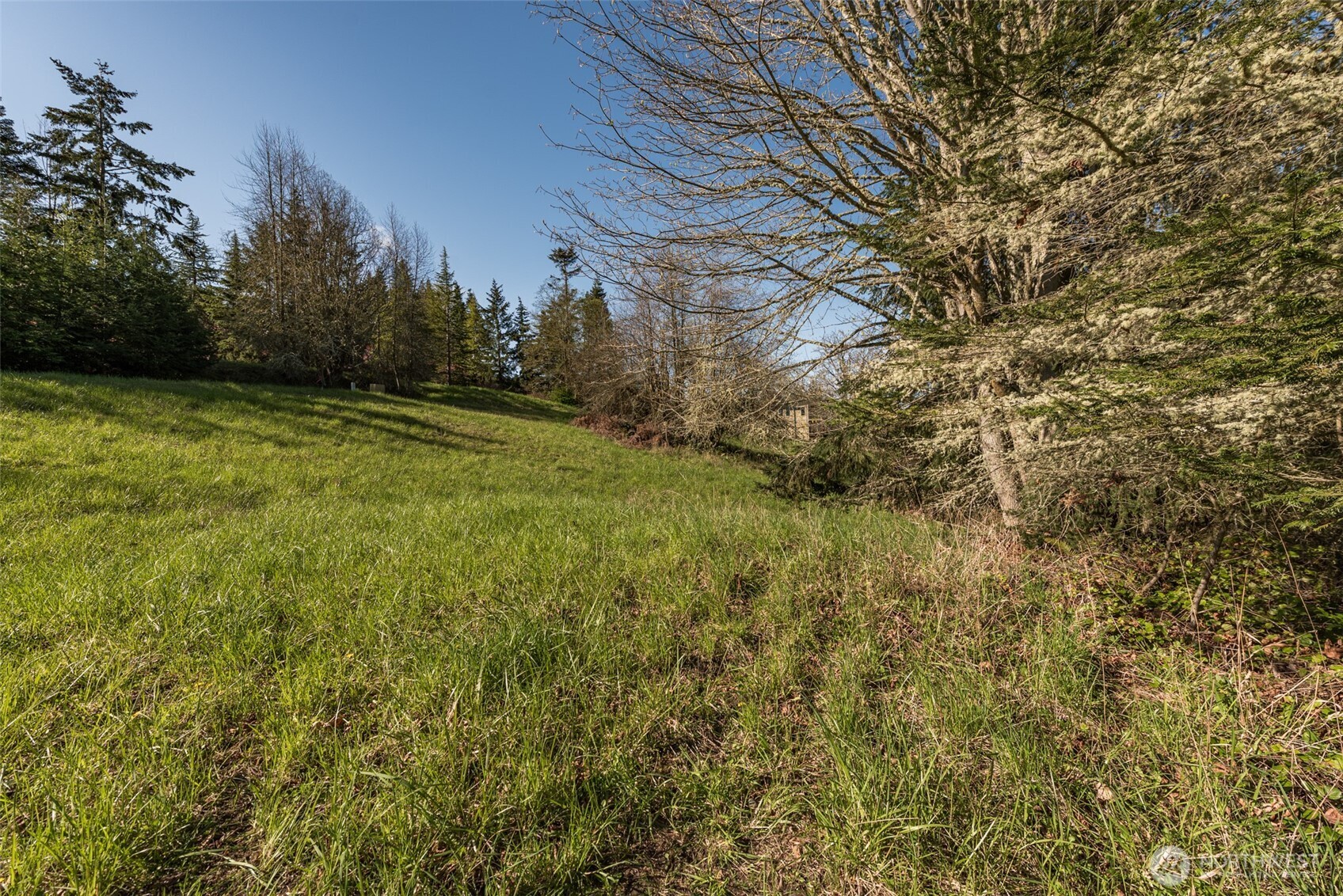 999 Ravens Ridge Road Property Photo 29