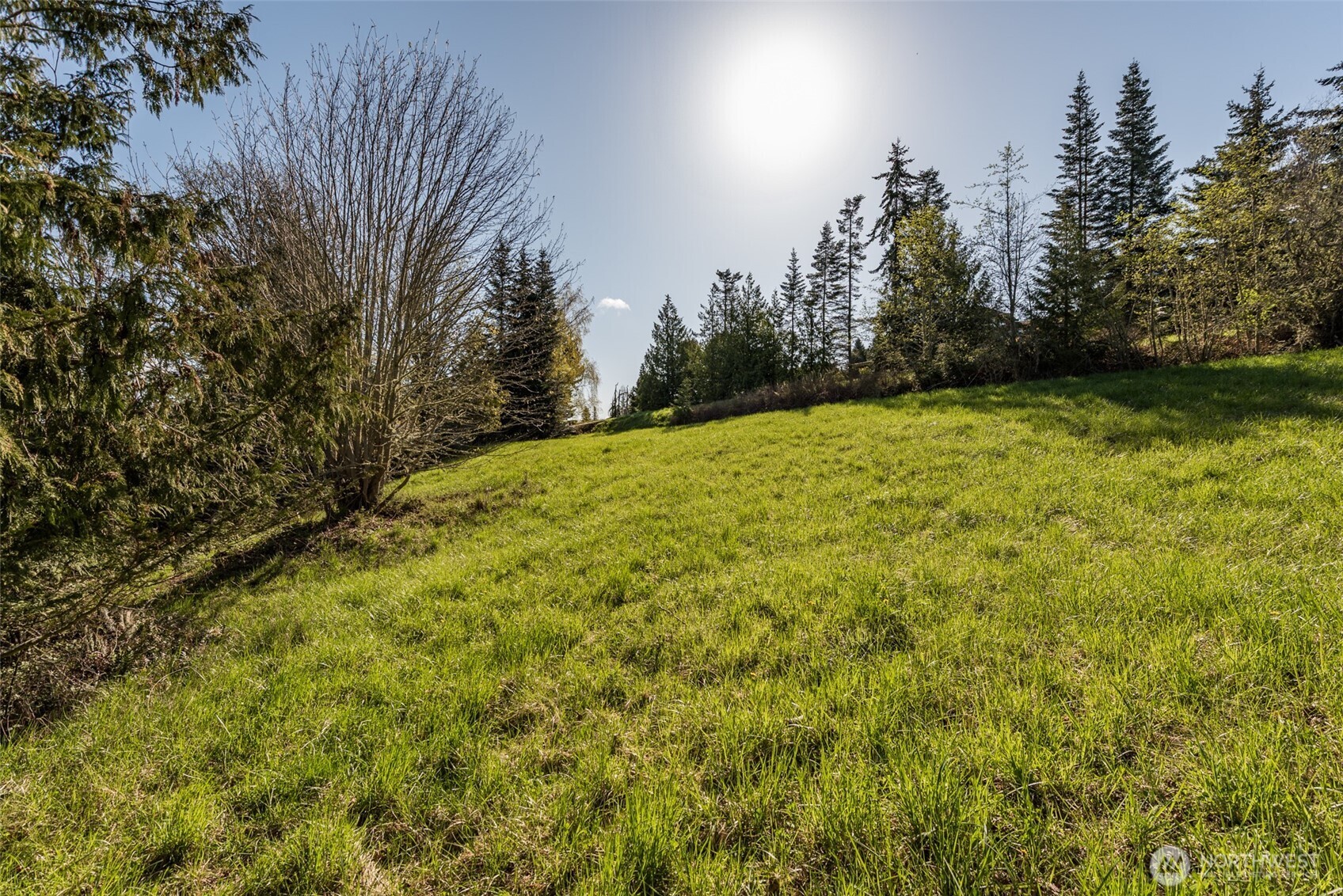 999 Ravens Ridge Road Property Photo 30