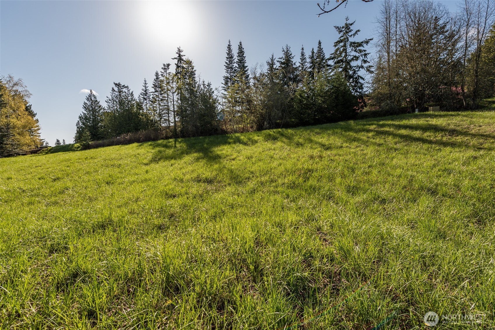 999 Ravens Ridge Road Property Photo 31