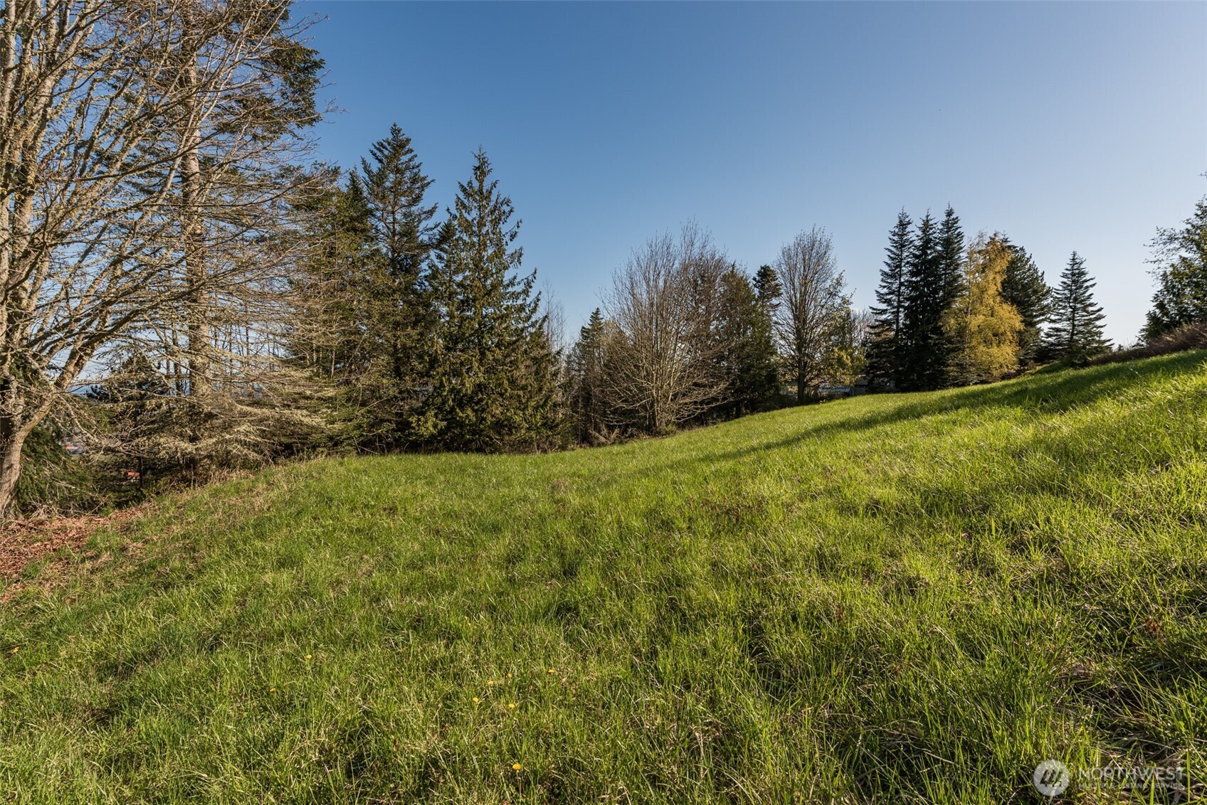 999 Ravens Ridge Road Property Photo 32