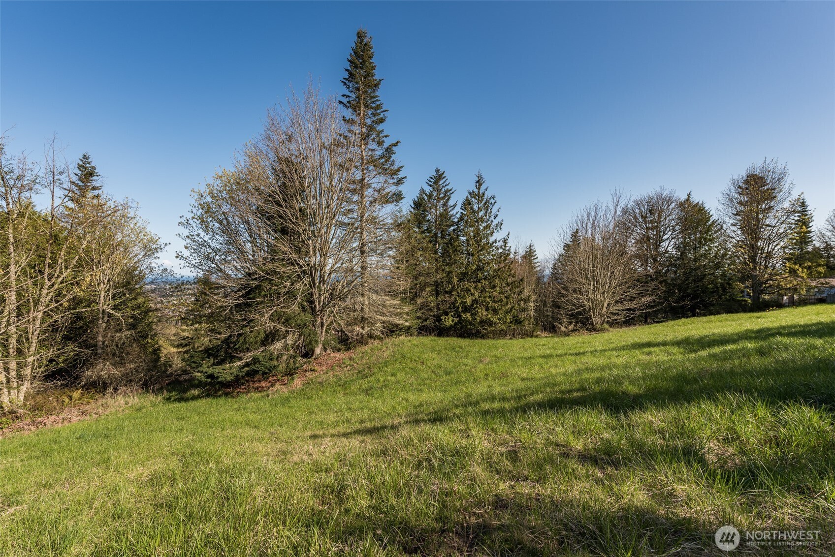999 Ravens Ridge Road Property Photo 33