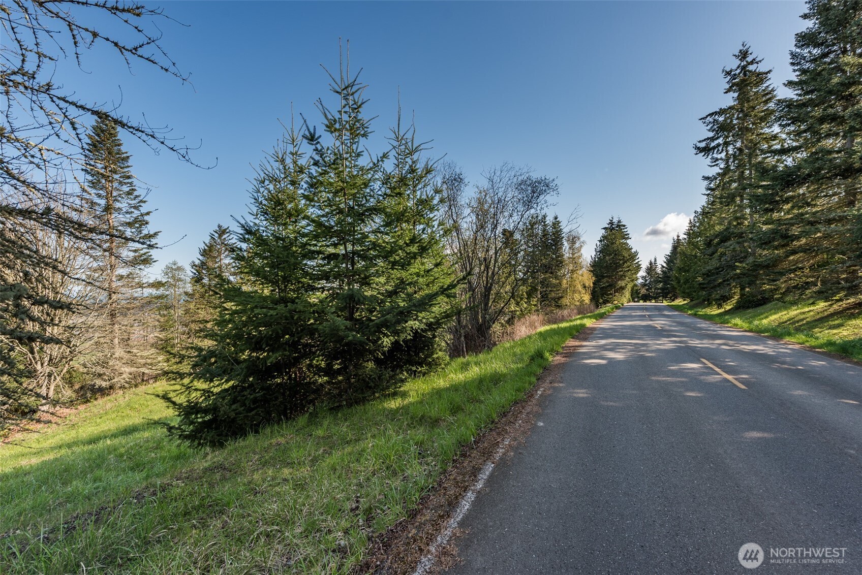 999 Ravens Ridge Road Property Photo 36