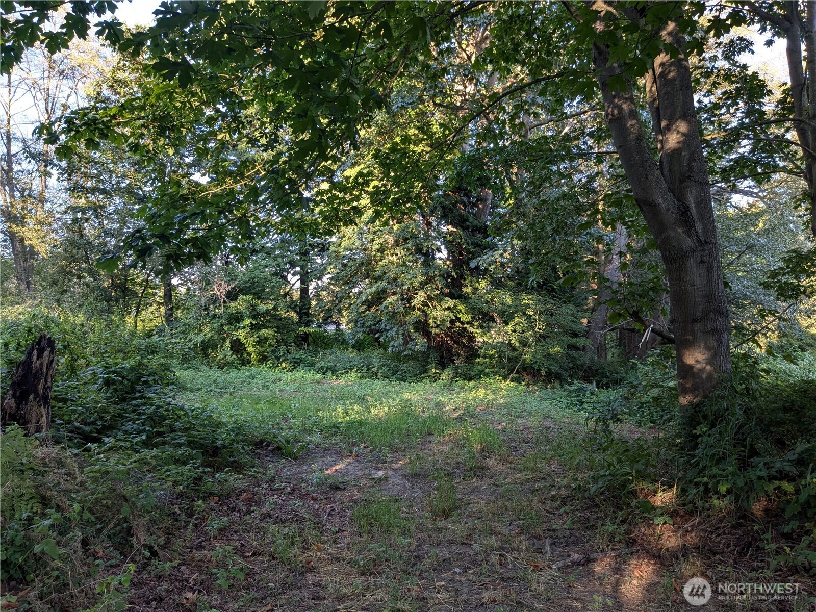 0 Xx Lampman Road Property Photo 2