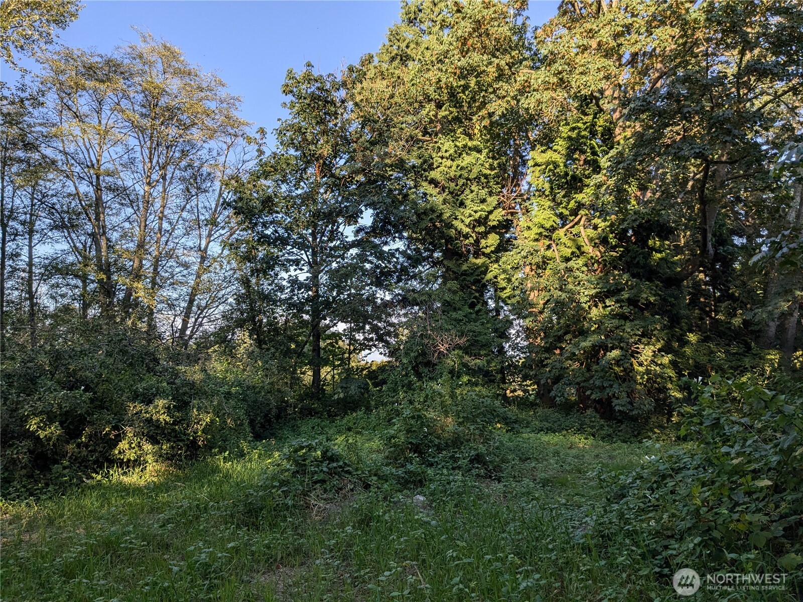 0 Xx Lampman Road Property Photo 3