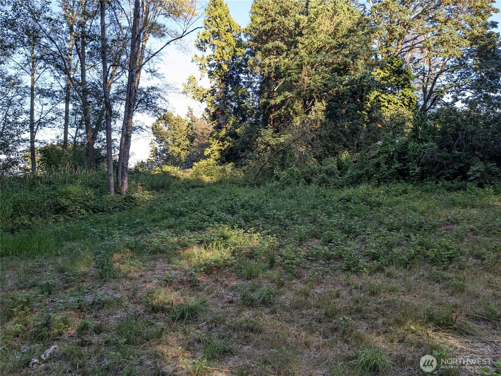 0 Xx Lampman Road Property Photo 5