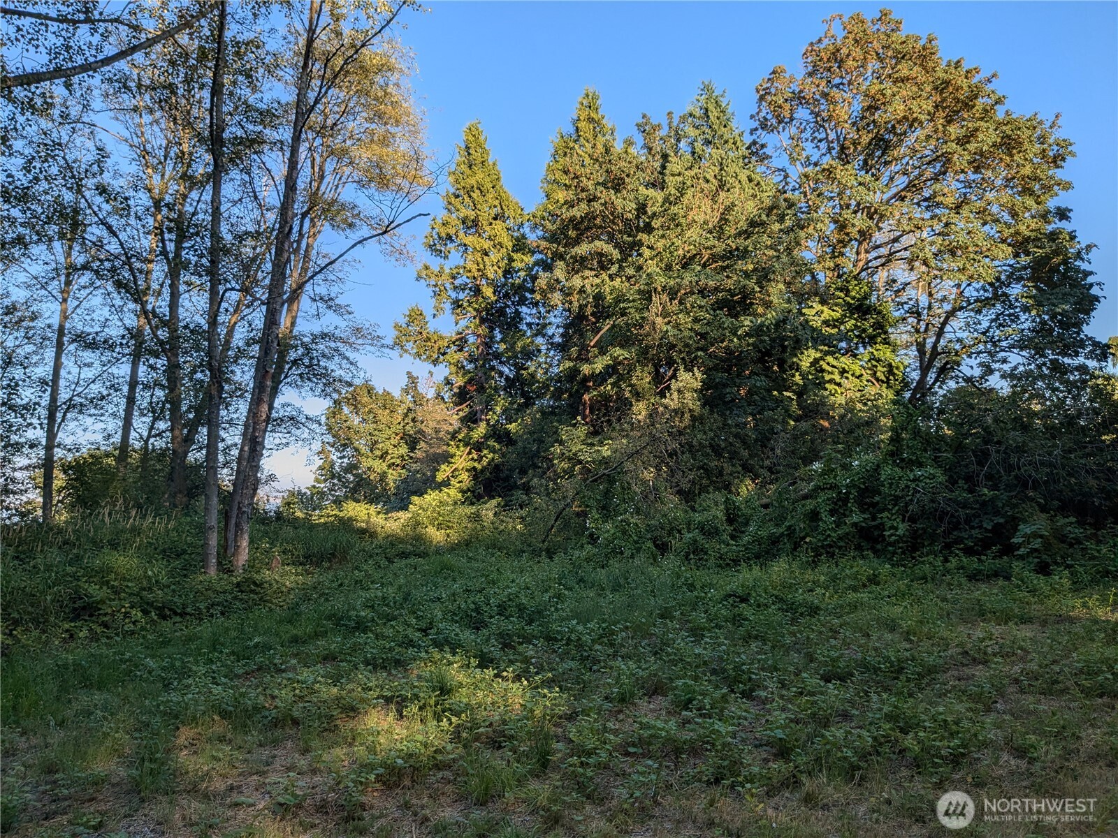 0 Xx Lampman Road Property Photo 6