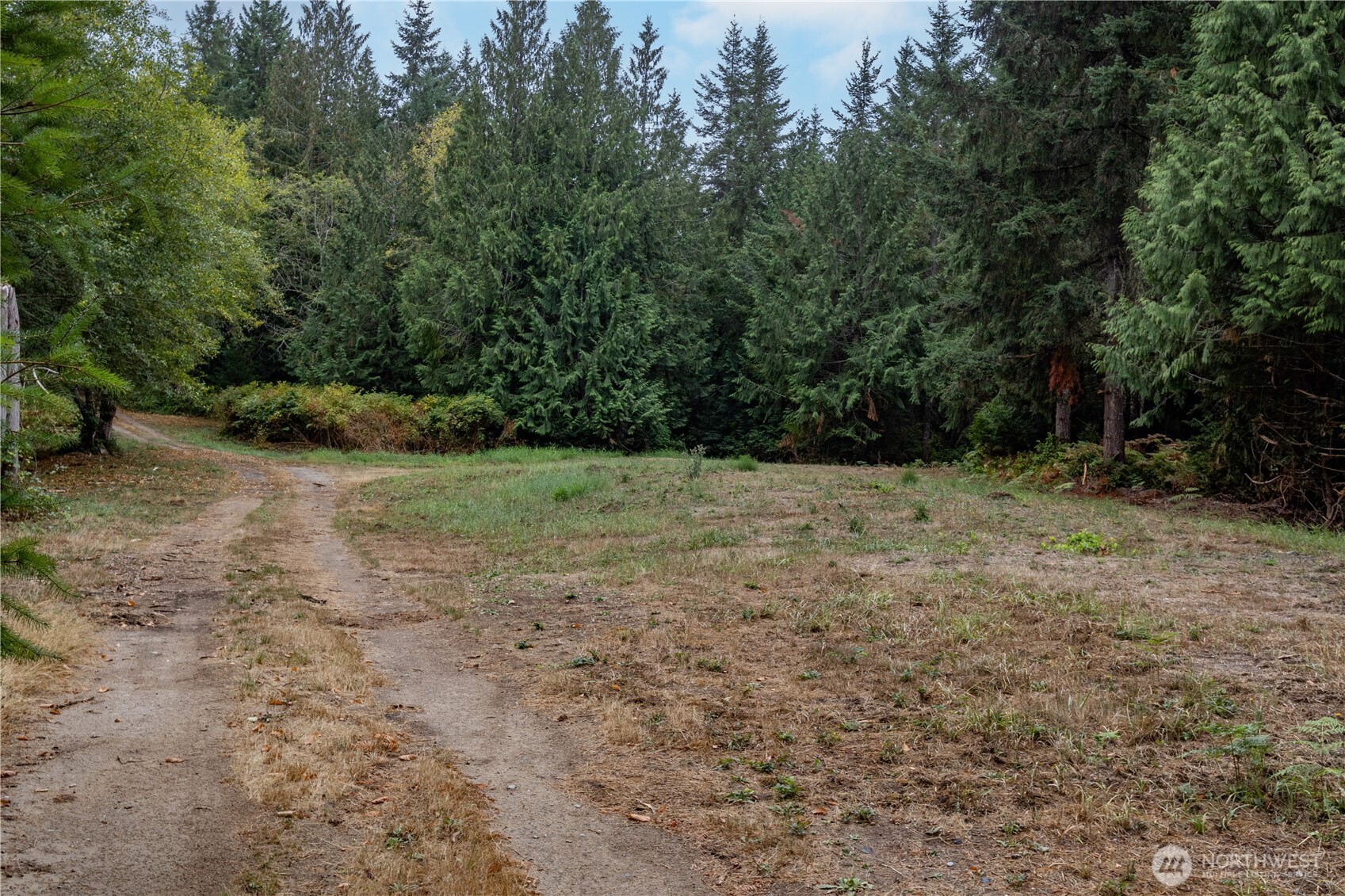 15028 47th Avenue Property Photo 2