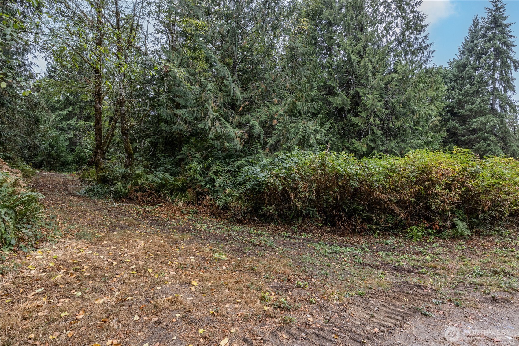 15028 47th Avenue Property Photo 3