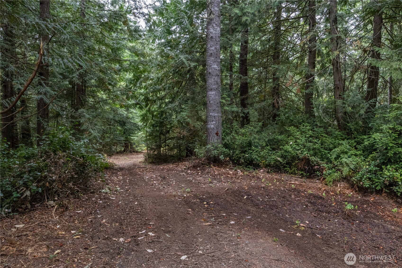 15028 47th Avenue Property Photo 5