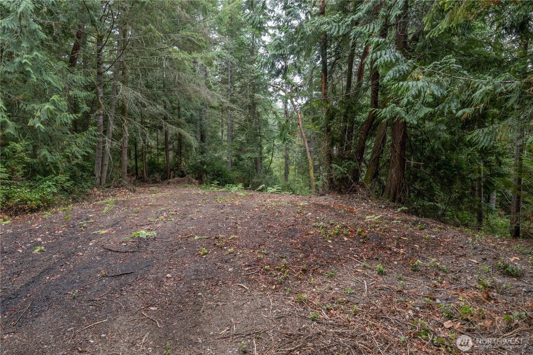 15028 47th Avenue Property Photo 6