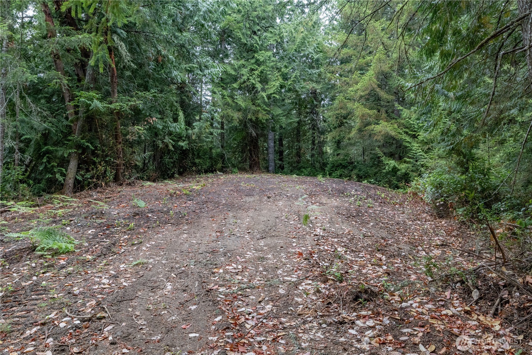 15028 47th Avenue Property Photo 7