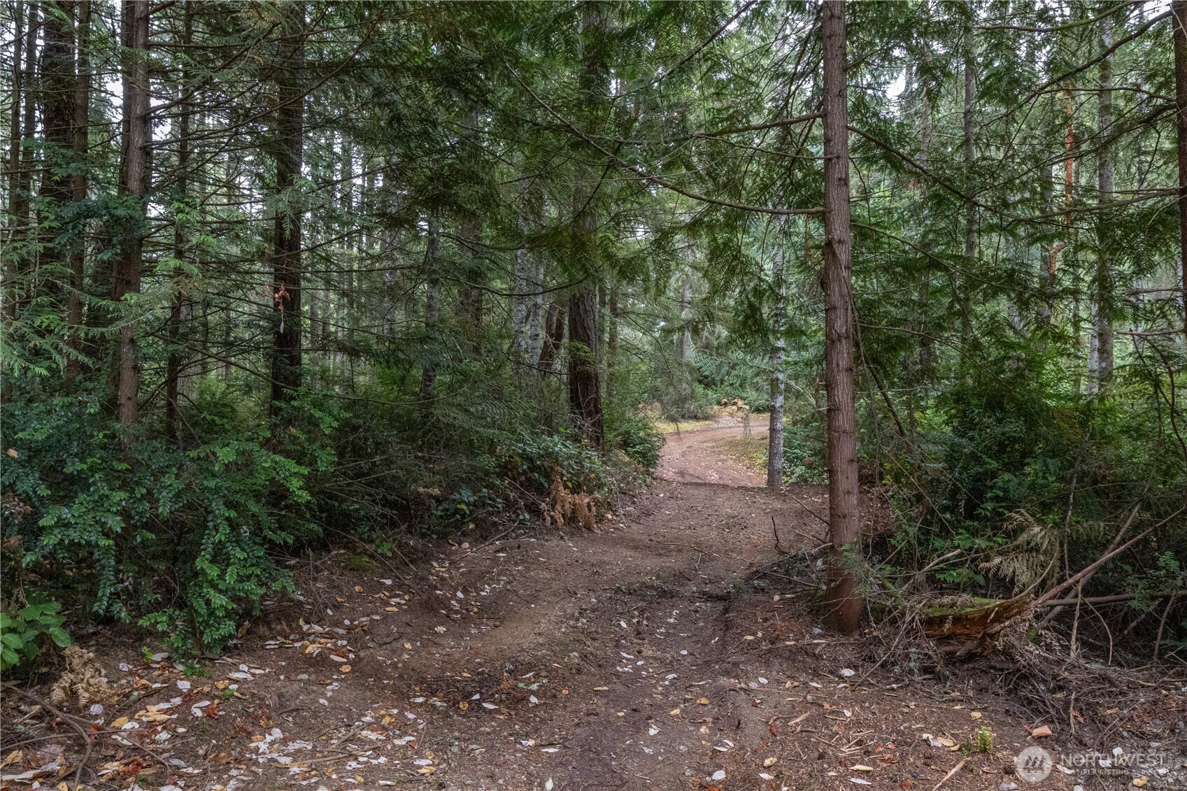 15028 47th Avenue Property Photo 8